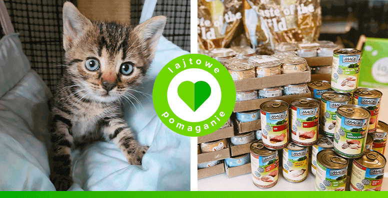 Puszki i karma dla kocich przyjaciół z Ogólnopolskiej Fundacji NaszeZoo.pl zostały zakupione w ramach programu lajtowe pomaganie