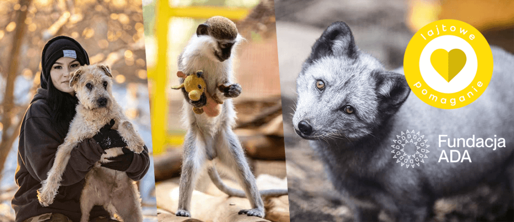Pomagamy dalej – wspieramy Fundację ADA