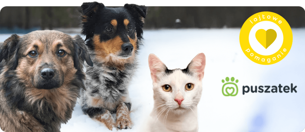 Razem wspieramy Fundację dla zwierząt Puszatek